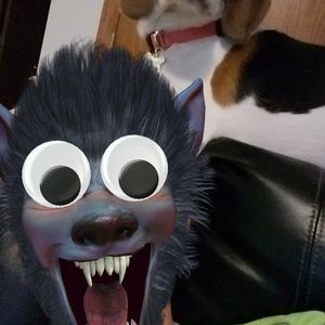 Meet your Posher, Kyle